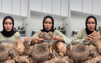 Kimpul Umbi Lokal Mendadak Viral di X, Ini Rahasianya!