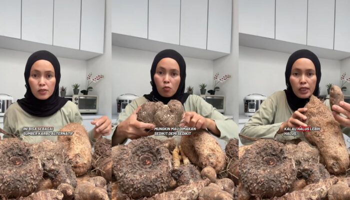 Kimpul Umbi Lokal Mendadak Viral di X, Ini Rahasianya!