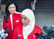 Yogi Mentawai Dulu Viral Kini Resmi Jual Starlink Berizin!