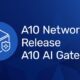 A10 Networks Perkenalkan A10 AI Gateway untuk Kelola Akses dan Biaya AI