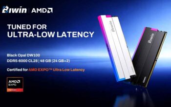 Biwin Black Opal DW100 DDR5-6000 CL28 48GB Bersertifikasi AMD EXPO dengan Latensi Ultra Rendah