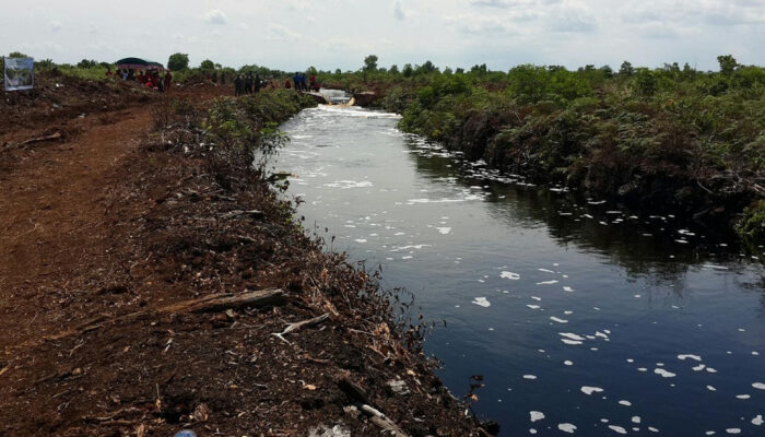 Bukan Sulap Ini Cara RI Hadirkan Hujan Cegah Karhutla