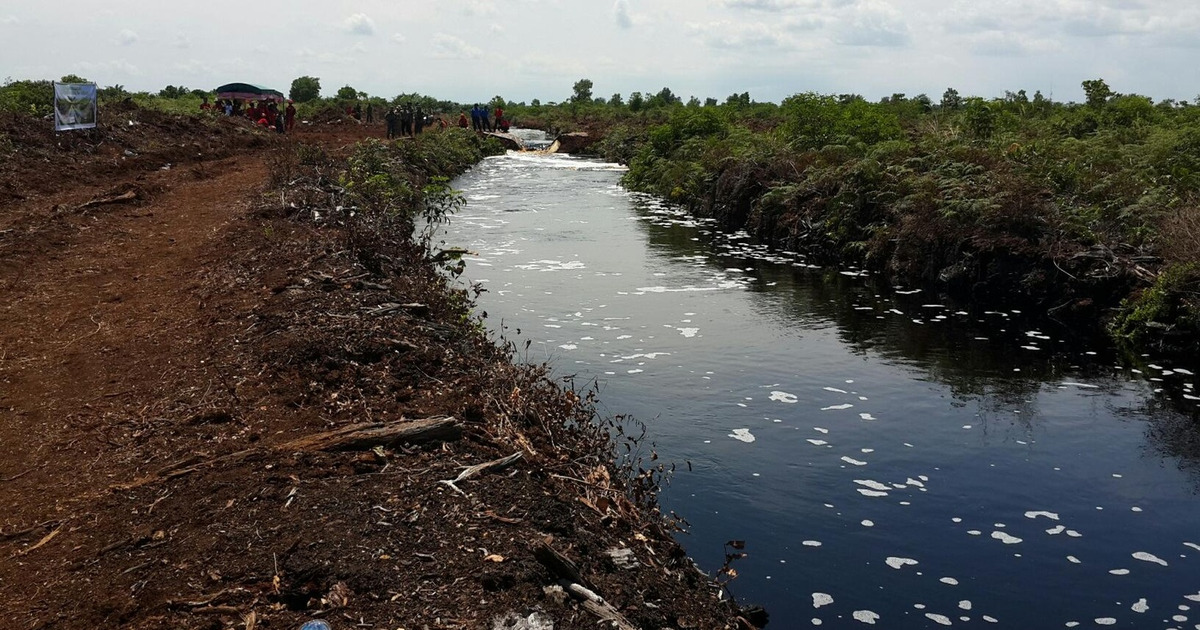 Bukan Sulap Ini Cara RI Hadirkan Hujan Cegah Karhutla