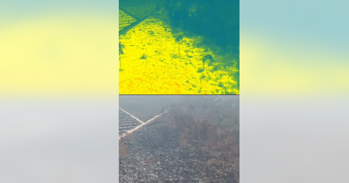 Drone WWF Ungkap Rahasia Api Gambut Sulit Padam