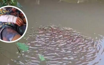Horor Ikan Gabus Raksasa Serang Bocah di Thailand