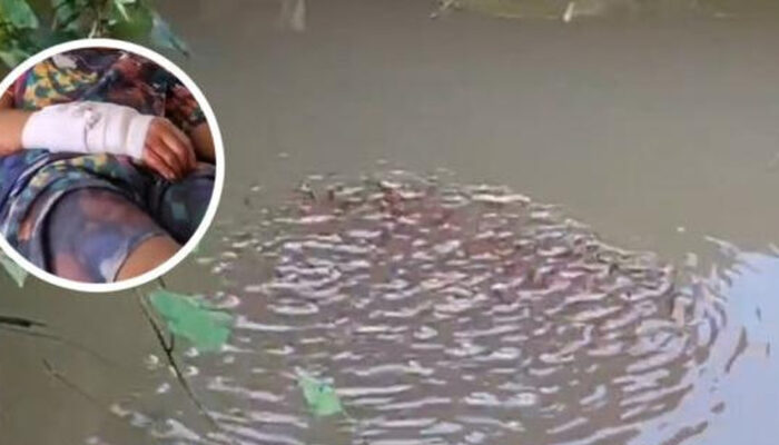 Horor Ikan Gabus Raksasa Serang Bocah di Thailand