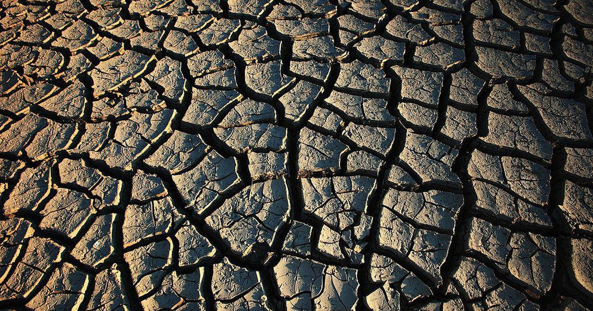 Tanah Kalimantan Retak Mirip Afrika Bukan Gurun Ini Sebabnya